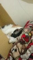 https://images.plurk.com/3Riy8tZeuUrKTQRSlv81NQ.jpg