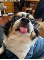 https://images.plurk.com/3RjAkMovuktWIh5L0uBkE1.jpg