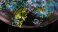 https://images.plurk.com/3S8d5ug0kw3ZYgFFp2vxNu.jpg
