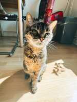 https://images.plurk.com/3S9g1fUmgmVVOFMAjWz2Uj.jpg
