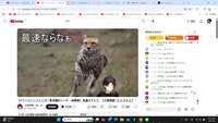 https://images.plurk.com/3SAVGIMUonfUo89ApOgXjC.png