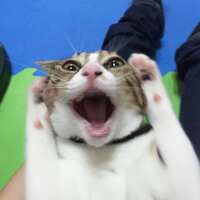 https://images.plurk.com/3SHiGcDbskBQsz1lbr2y0E.jpg