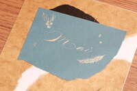 https://images.plurk.com/3SKs17ecrlBOcWtcJ7d0xG.jpg