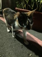 https://images.plurk.com/3STaBO9pBkOgsgKAam3N59.jpg