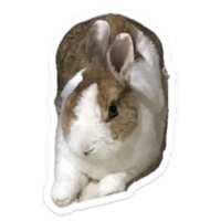 https://images.plurk.com/3Sq715DcXLqweFsizmaZC9.jpg