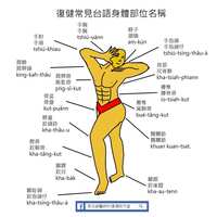 https://images.plurk.com/3SsW0FvRRpWiPWtQh7D4Rk.png