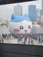 https://images.plurk.com/3SwloJuzsKAOkkJezWtD6p.jpg