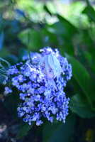 https://images.plurk.com/3SyudnEhKtttkpjWr0xmVw.jpg