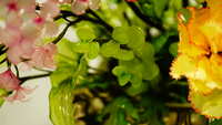 https://images.plurk.com/3SzsOxD9AHbZX916TGLn97.jpg