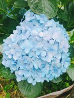 https://images.plurk.com/3T37Uj85sbu1UnTyHFU9sG.jpg