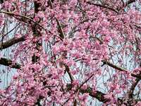 https://images.plurk.com/3T39bSFmuQwC5kQ02rowOU.jpg