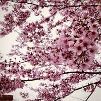 https://images.plurk.com/3T3A9ITqxoIavLY7q0cwDI.jpg