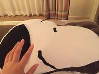 https://images.plurk.com/3T43lTOaCtAlLhS8AXGh41.jpg