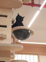 https://images.plurk.com/3T9SUK5uuKE6jNZOTGz0iE.jpg