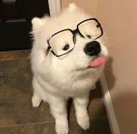 https://images.plurk.com/3T9XSG3mefgXGfhjMEmq1A.jpg