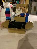 https://images.plurk.com/3T9aiyWWT6Rlq4qI3MR7LB.jpg