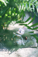 https://images.plurk.com/3T9cWREnYrOkGRb5oNMGF3.jpg