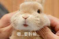 https://images.plurk.com/3TJD1NrfNqUwH2tbgx4fLV.jpg
