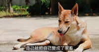 https://images.plurk.com/3TJPXbgkwgU8UDpG0CmC3q.jpg