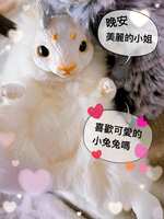 https://images.plurk.com/3TN2a445LodBqtuIKw0XfR.jpg