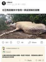 https://images.plurk.com/3TdQEtXV57q8iuY0gIyO27.jpg