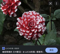 https://images.plurk.com/3Two3Lr3M7Ga0CRS55wuJa.jpg