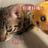 https://images.plurk.com/3TwzDs7K5CTG1QOy5nlfXd.jpg