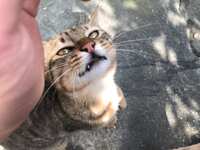 https://images.plurk.com/3U5kkqbgLdRnwGI34HoEeP.jpg