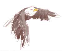 https://images.plurk.com/3U6UQjwxqF6MlhcK19XNoa.png