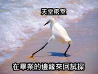 https://images.plurk.com/3U7JMz4mOZxqAKCGfNGPSF.png