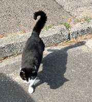 https://images.plurk.com/3UAy7vldgTQiVXc3gQhHOf.jpg