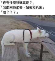 https://images.plurk.com/3UEEXp20ayLx9k6glqTkEL.png