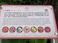 https://images.plurk.com/3UKPYCffmPtM6S76k1Rw49.jpg