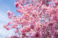 https://images.plurk.com/3UPQCxFFNP9xG8Xod2YnOW.jpg