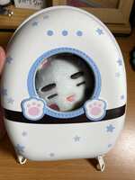 https://images.plurk.com/3UZWV9kBU8mt6BuXkwjwuF.jpg