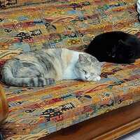 https://images.plurk.com/3UZzHjep7wcfHW9B4hk08b.jpg