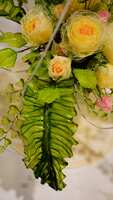 https://images.plurk.com/3UcnmYze90UysLpk4qGtae.jpg