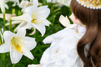 https://images.plurk.com/3UfmhOLpsoeTGkIQRfYVlN.jpg