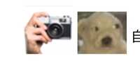 https://images.plurk.com/3UnPaBMNAshsX5pgK3tUoE.jpg
