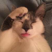 https://images.plurk.com/3UpFe5AdeYu2MKLLNGoxFB.jpg