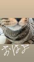 https://images.plurk.com/3UvVMQhzUwIS643ojVwI1d.png