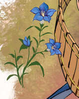 https://images.plurk.com/3V4Hf3XSgxaqCQHH2PrBlR.jpg