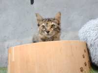 https://images.plurk.com/3VM72Ey22142zvTkwxE6EN.jpg