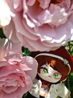 https://images.plurk.com/3VNj3s4PWDK8PosUp1APL9.jpg