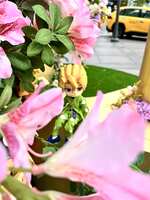 https://images.plurk.com/3VXHO5gbtQWqTA7CebTOHQ.jpg