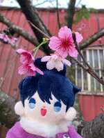 https://images.plurk.com/3VXNnJg8VYiYjTFlCD2H2I.jpg