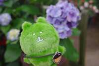https://images.plurk.com/3VhamzalO4pnbLXh7pC09c.jpg