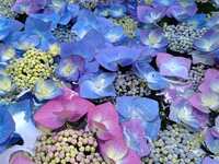 https://images.plurk.com/3VjMfC9JdXKAZYdHSsAXC8.jpg
