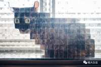 https://images.plurk.com/3Vom1Ag86Rb9Q2dl63A9bN.jpg