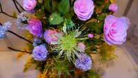 https://images.plurk.com/3VsV5Z7MJZAGHMkPLlv0Ok.jpg